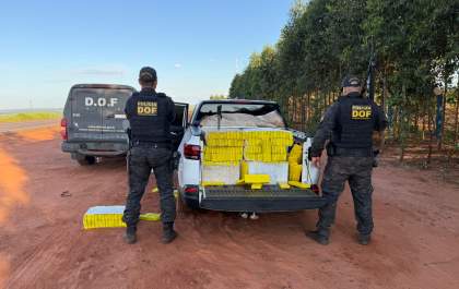 DOF apreende mais de 1 tonelada de maconha que seria levada ao Paraná