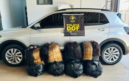 DOF apreende 257 quilos de cabelo humano avaliados em mais de R$ 2,5 milhões