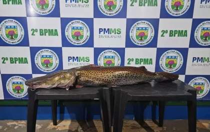 Pescador é multado em R$ 33,8 mil por transportar pintado durante a Piracema em MS