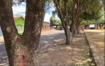 Polícia investiga envenenamento de árvores em bairro de Três Lagoas