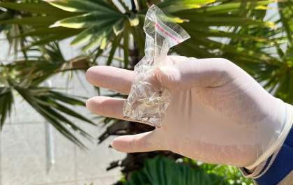 MS registra 8.372 casos confirmados de dengue