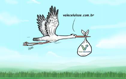 Charge: Vale Celulose