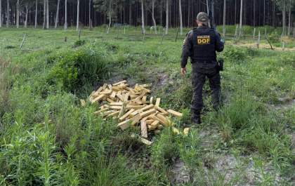DOF apreende mais de 300 quilos de droga após veículo ficar atolado