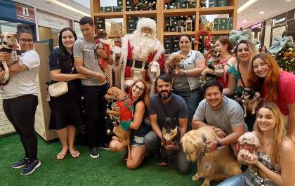 Pets terão encontro com Papai Noel em Araçatuba&nbsp;