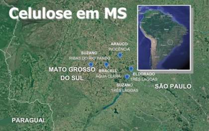 Celulose Consolida Liderança em Mato Grosso do Sul com 42% de Quota de Mercado