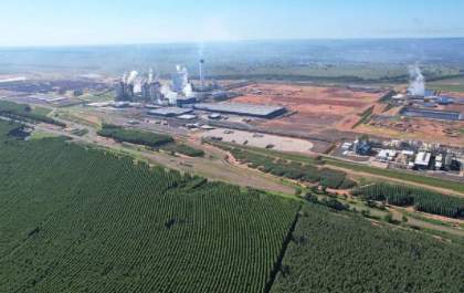 Setor de celulose vive “rodada de ouro”: Suzano e Klabin impulsionam bilhões em proventos e valorização