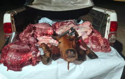 Patrulha Rural da PM, prende funcionário é preso por furto de gado em fazenda no interior do estado