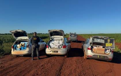 DOF apreende três carros carregados com cigarros contrabandeados após denúncia