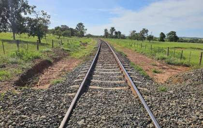 Nova malha ferroviária da celulose em MS reposiciona logística, reduz custos e fortalece rota até o Porto de Santos