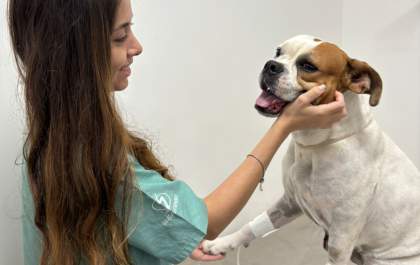 Clínica Meu Pet realiza mais de 16 mil atendimentos em 2025