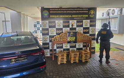 DOF apreende mais de 250 quilos de drogas no interior do estado de MS
