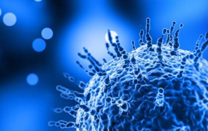 Vírus com 70% de letalidade está contaminando e pode virar a nova pandemia mundial