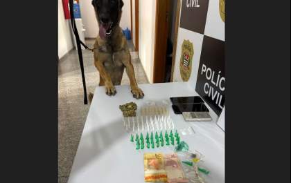 Homem é preso por tráfico em Operação da Polícia Civil de Valparaíso