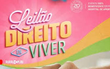 Solidariedade que transforma vidas: Leilão Direito de Viver arrecada quase R$ 750 mil em prol do Hospital do Amor