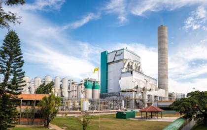 Projeto de celulose no RS gera questionamentos sobre impactos ambientais e direitos indígenas