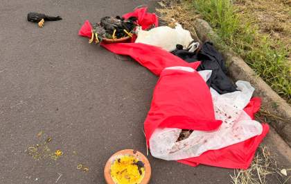 Animais mortos deixados em cruzamento no Concórdia incomoda moradores