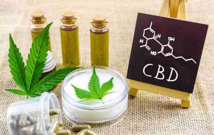 Anvisa publica novas regras para produção e uso medicinal da cannabis no Brasil