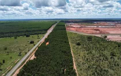 Rodovias estratégicas do Vale da Celulose devem ir a leilão ainda em 2026, diz governador