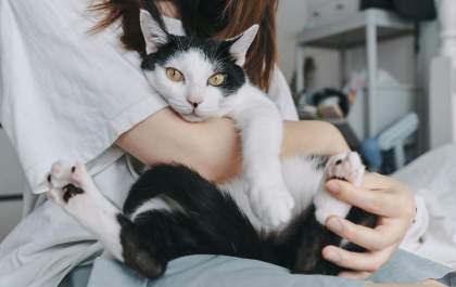 Relação entre tutor e pet vai além de comandos