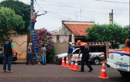 Operação recolhe meia tonelada de fios no bairro Jandaia 2 em Birigui