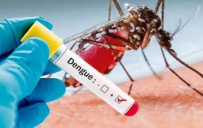 MS registra 816 casos prováveis de dengue em 2026