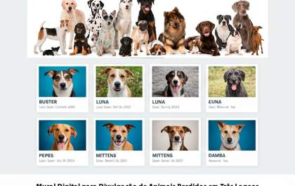 Lei cria Mural Digital para localizar animais perdidos em Três Lagoas