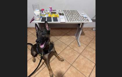 Polícia Civil de Birigui prende suspeito de fornecer drogas e armas e apreende revólver