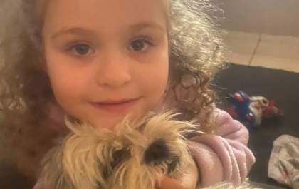 Cachorrinha Lala desaparece em Três Lagoas e família pede ajuda