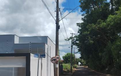 Árvore com raízes expostas coloca casa em risco no bairro São João e moradores cobram providências