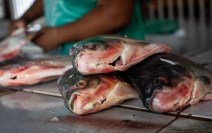 Feira do Peixe 2026 abre cadastro para comerciantes em Três Lagoas