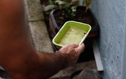 Mato Grosso do Sul integra estratégia nacional para vacinação contra chikungunya