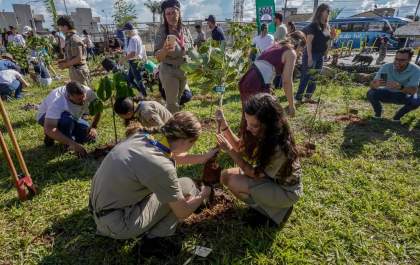 COP15 da ONU em Campo Grande deixa legado com plantio de Bosque de 250 mudas nativas e frutíferas