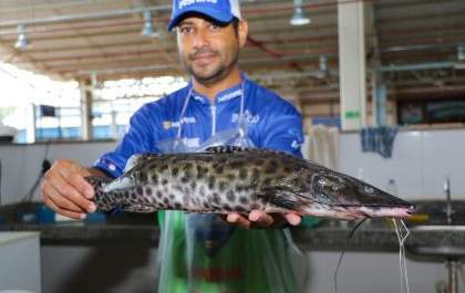 Feira do Peixe movimenta Três Lagoas com vendas durante a Semana Santa