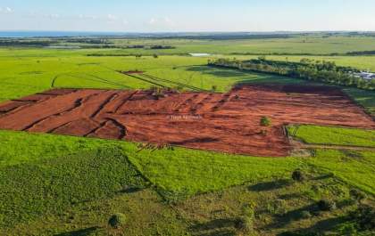 Bracell inicia terraplanagem de viveiro e avança projeto em Bataguassu