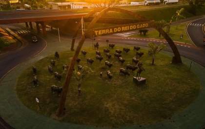 Tradição ignorada: enquanto a região investe em rodeios, Andradina deixa a Expoan no passado