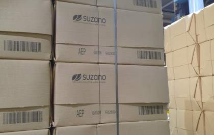 Suzano desenvolve o Eucanatural, celulose marrom de eucalipto para embalagens sustentáveis
