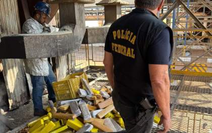 Polícia Federal de Araçatuba incinera 250 quilos de maconha