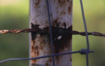 Homem ameaça matar o pai e danifica carro em Três Lagoas (MS)