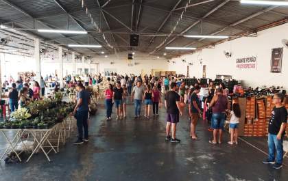 Feirão do polo Nelson Calixto atrai cerca de 1 mil pessoas