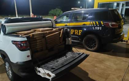 Três Lagoas registra apreensão de 787 kg de maconha