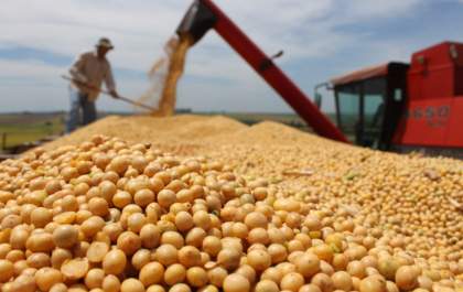 MS projeta nova safra recorde com 16,7 milhões de toneladas de soja em 2026