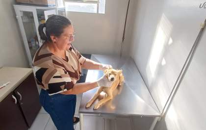 Prefeitura inaugura Centro de Reabilitação Animal em Três Lagoas