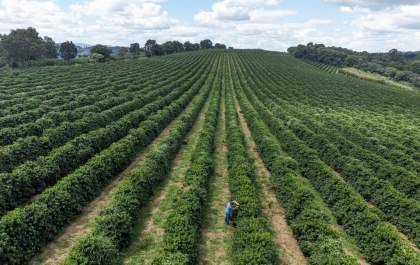 Governo do Estado anuncia pacote de R$ 455 milhões para o agro paulista
