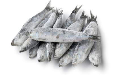 Lote de sardinha é recolhido pela Anvisa