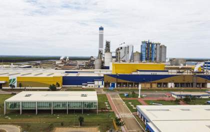 Suzano vende 12,7 milhões de toneladas de celulose pela primeira vez na história