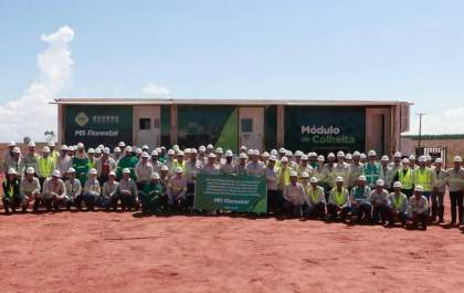 MS Florestal inicia colheita da sua primeira área no Estado