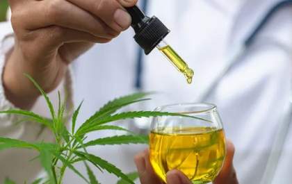 Anvisa proíbe produtos de cannabis irregulares