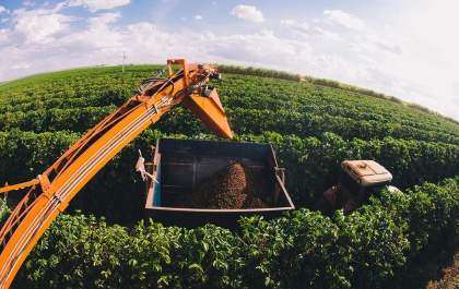 Desenrola Rural é relançado com descontos de até 96% para renegociação de dívidas no campo