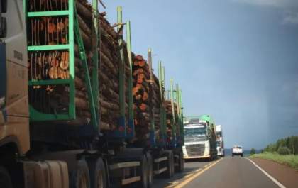 Rota da Celulose recupera 705 km de rodovias em 100 dias