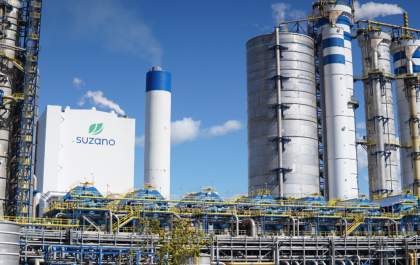 Suzano abre inscrições para programas de estágio com 52 vagas em Mato Grosso do Sul